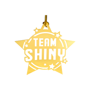 Team Shiny Ornaments (Set of 2)