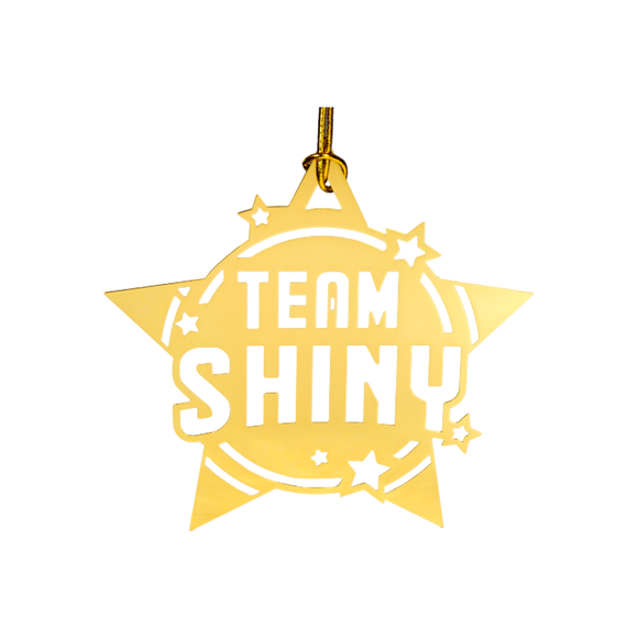 Team Shiny Ornaments (Set of 2)