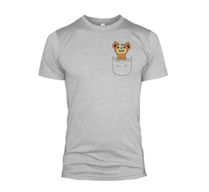 Pocket Teddiursa