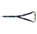 Rampardos Lanyard & Pin