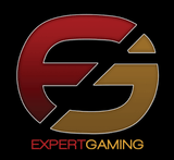 Expert Gaming Jersey Hoodie