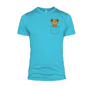 Pocket Teddiursa