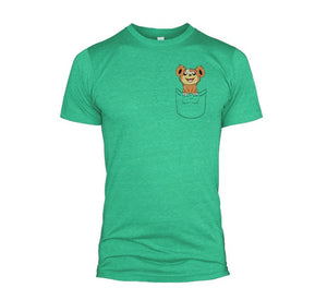 Pocket Teddiursa