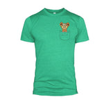 Pocket Teddiursa